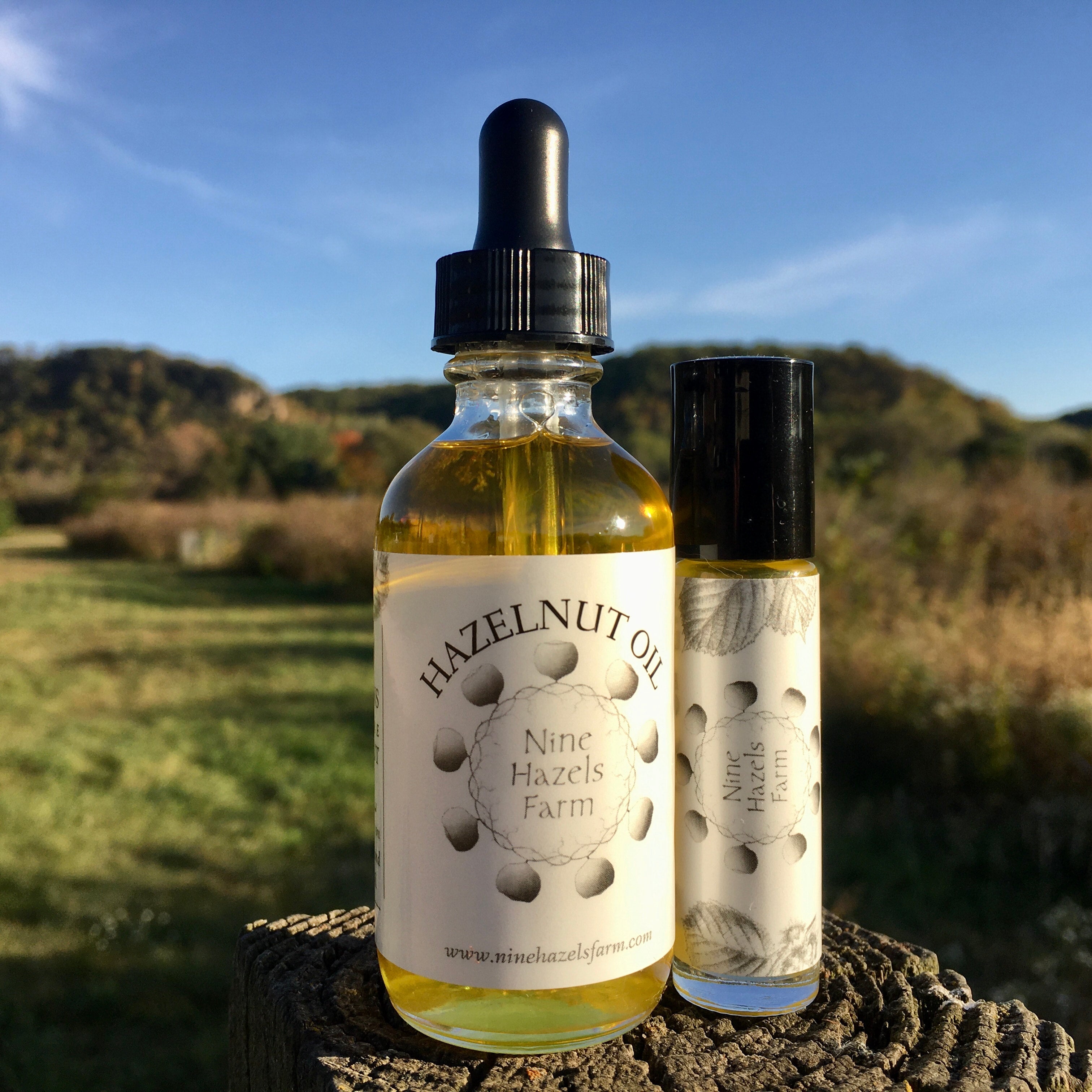 100% Pure Hazelnut Oil | Nine Hazels Farm